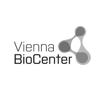 brand-vbc brand-vbc
