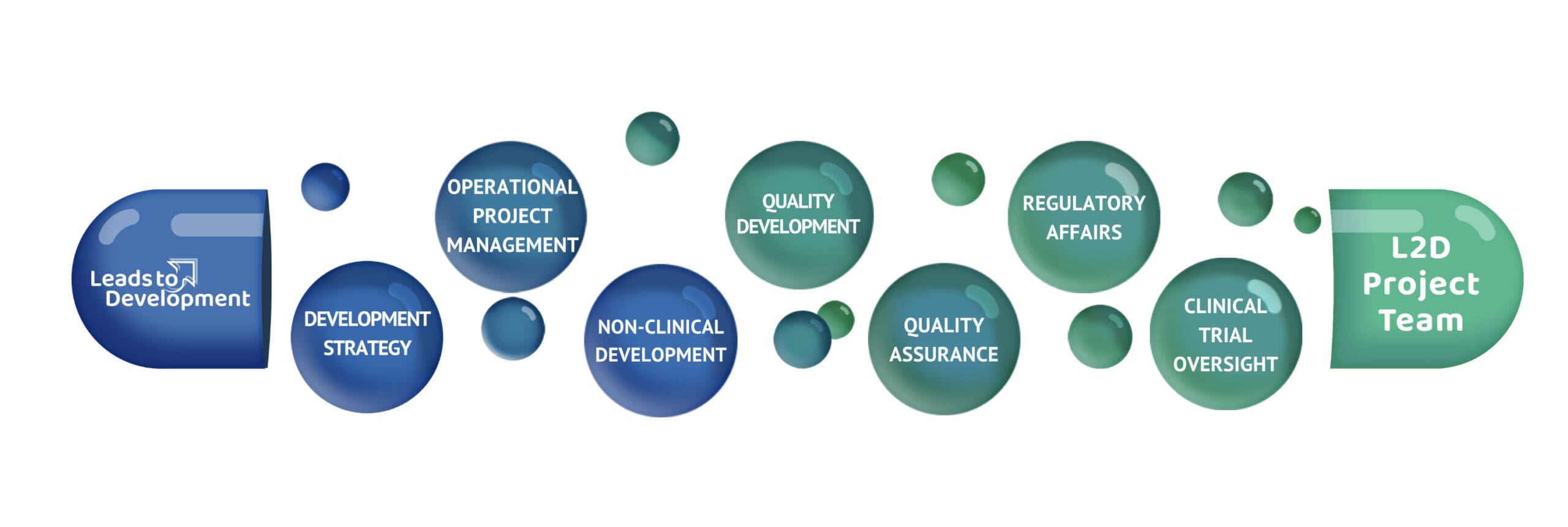 CMC Drug Development Consulting Services - Leads to Development 2023-10-10 12-38-50