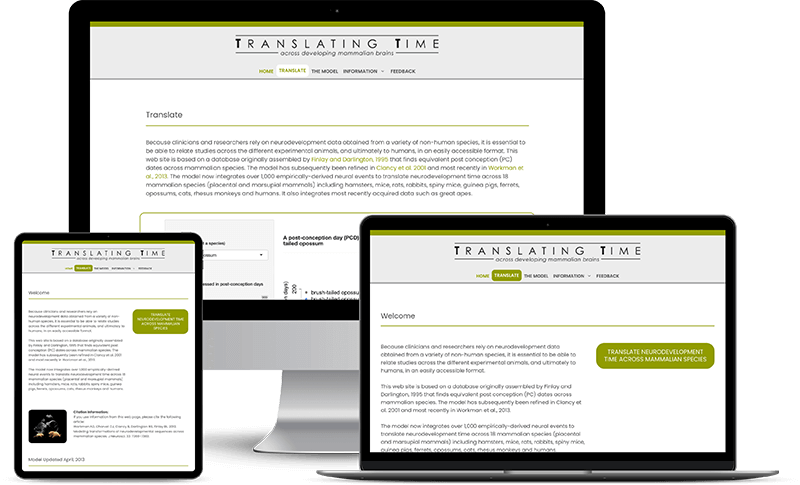 translating time website mock up