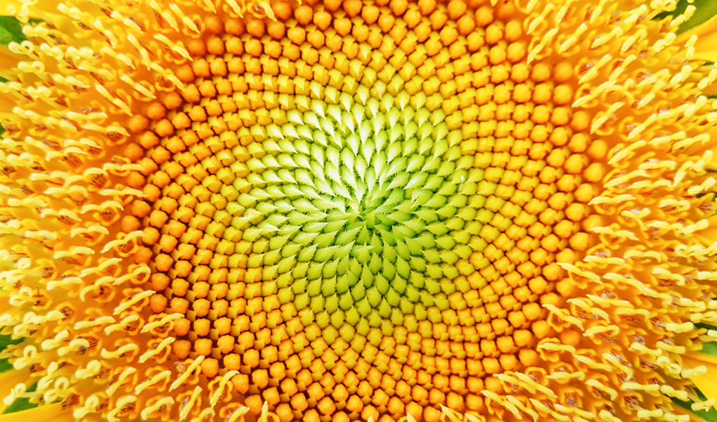 How-Life-Sciences,-Pharma,-Technology-and-Healthcare-Can-Thrive-Sustainably